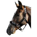 Harrys Horse Nüsternschutz Nasennetz schwarz Pony