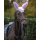 QHP Ohrhaube Easter Bunny